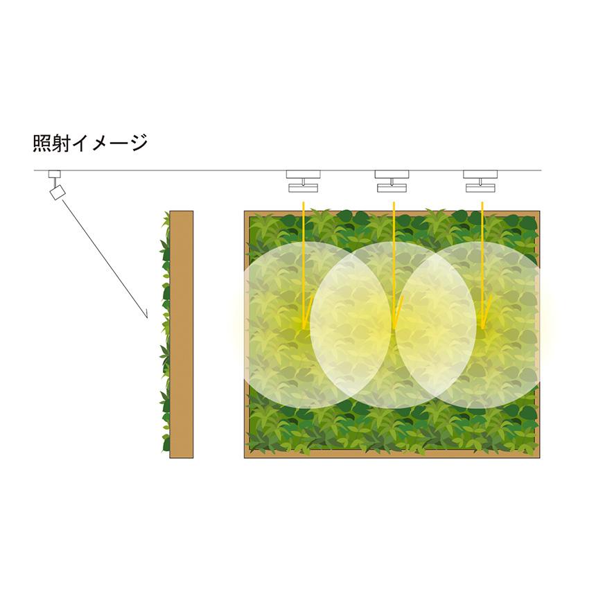 植物ライト ダクトレール 電源 室内 インテリア 多肉 植物 園芸 LED SPOT LIGHT for PLANTS 20Wの画像