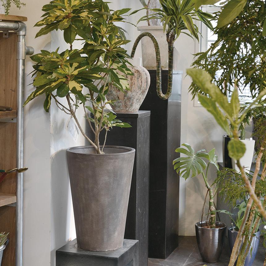 プランター 軽量 大型 植木鉢 寒さに強い テラメント トール 17号 高さ81cm  鉢カバー 鉢 プランターカバー 軽い 大きい シンプル 送料無料の画像