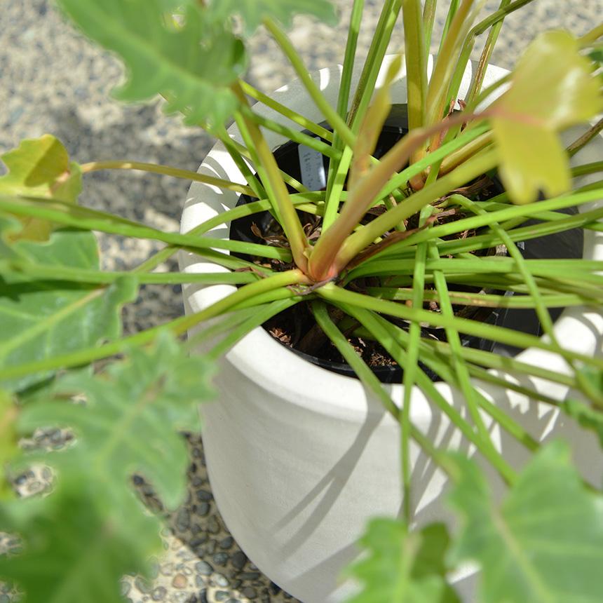 プランター 軽量 大型 植木鉢 寒さに強い テラメント ドロップ 直径54cm  鉢カバー 鉢 プランターカバー 軽い 大きい シンプル おしゃれ 送料無料の画像
