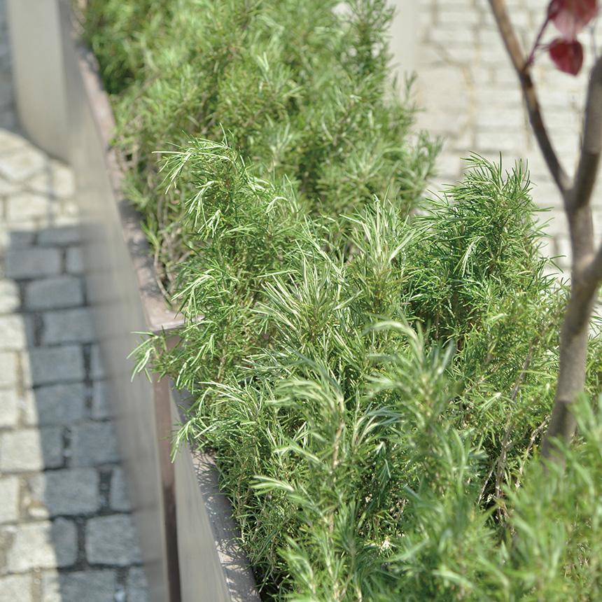プランター 長方形 軽量 大型 植木鉢 寒さに強い テラメント ハイレクタングル 幅100cm  鉢カバー 鉢 プランターカバー 屋外 室内 送料無料の画像