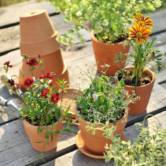 素焼き ナチュラル 植木鉢 直径15cm プランター ポット テラコッタ 鉢 底穴あり ンプル 小型 陶器 フラワーポット ガーデニング Pg 01408 ガーデン用品屋さん 通販 Yahoo ショッピング