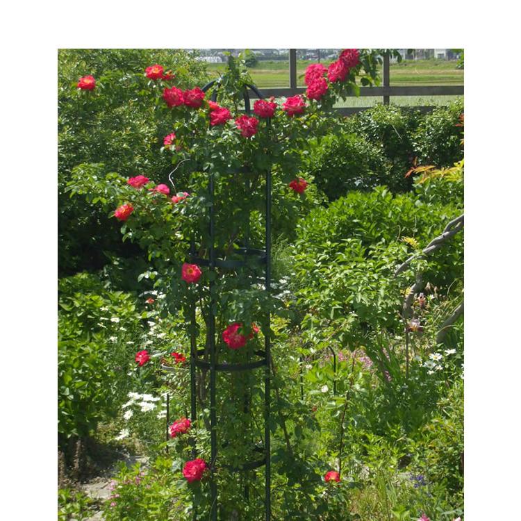 オベリスク アイアン ガーデニング トレリス バラ ガーデニングタワー