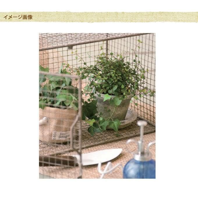 ハンギング プランターポット レトロ デザイン アンティークワイヤー 