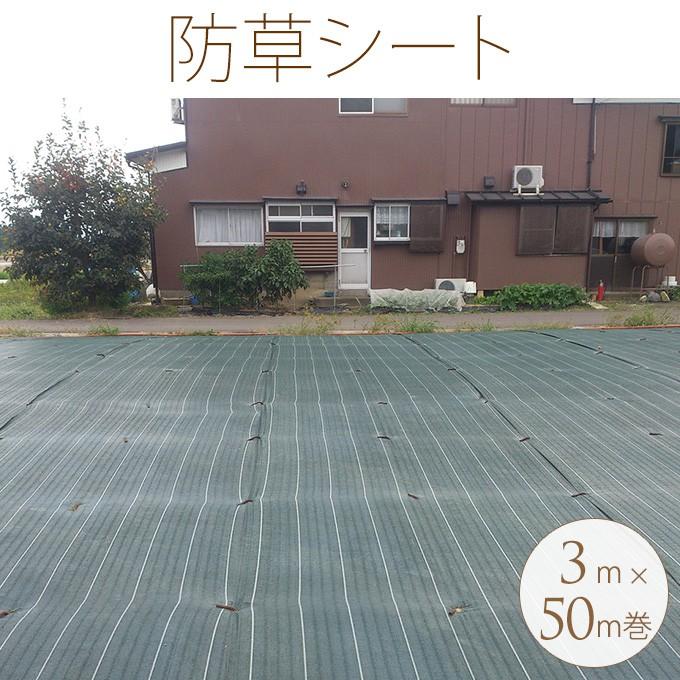 除草 雑草の育成を抑制 お庭 通路 イベント会場に 業務用 防草シート 3m 50m巻 Pg ガーデン用品屋さん 通販 Yahoo ショッピング