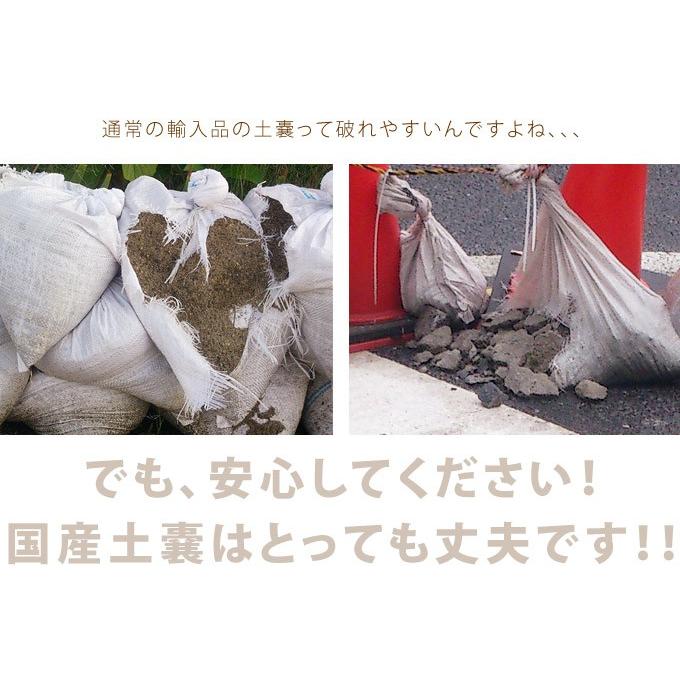 土のう袋 畑 守る 防災 水害 浸水 洪水 増水 大雨 丈夫 国産 土嚢 台風 小型土のう 5枚組 ブラック 30×45cm :PG-07663:ガーデン用品屋さん - 通販 - Yahoo!ショッピング 土のう袋 畑 守る 防災 水害 浸水 洪水 増水 大雨 丈夫 国産 土嚢 台風 小型土のう 5枚組 ブラック 30×45cm :PG-07663:ガーデン用品屋さん - 通販 - Yahoo!ショッピング