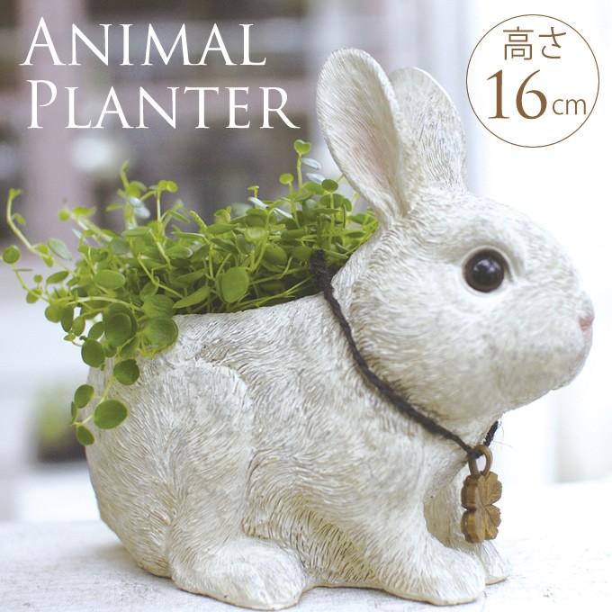 置物 オブジェ 動物 かわいい ラビッツファーム プランター S Phongthuyvanbe Com