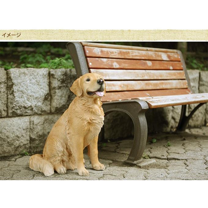 犬 置物 本物そっくり ゴールデンレトリバー ちょーだい 大型 犬 置物 本物そっくり ゴールデンレトリバー ちょーだい 大型