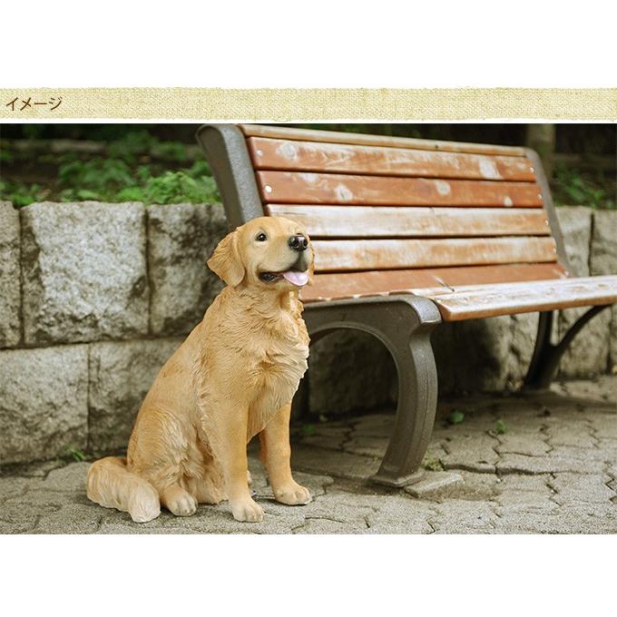 犬 置物 本物そっくり ゴールデンレトリバー ちょーだい  大型 オブジェ かわいい 大きい リアル 玄関 ドッグ オーナメント 飾り 犬の置物 ptuD｜gardenyouhin｜02