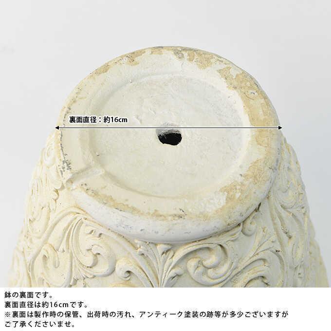 イタリア製のアンティークの鉢です Amazon | イタリア製 植木鉢 アンティークトールポット 26cm