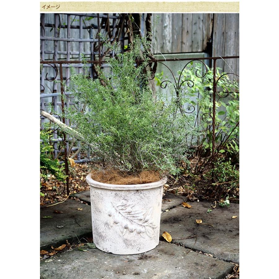 大型 洋風 フレンチ フランス 陶器 花壇 寄せ植え 観葉植物 プランター