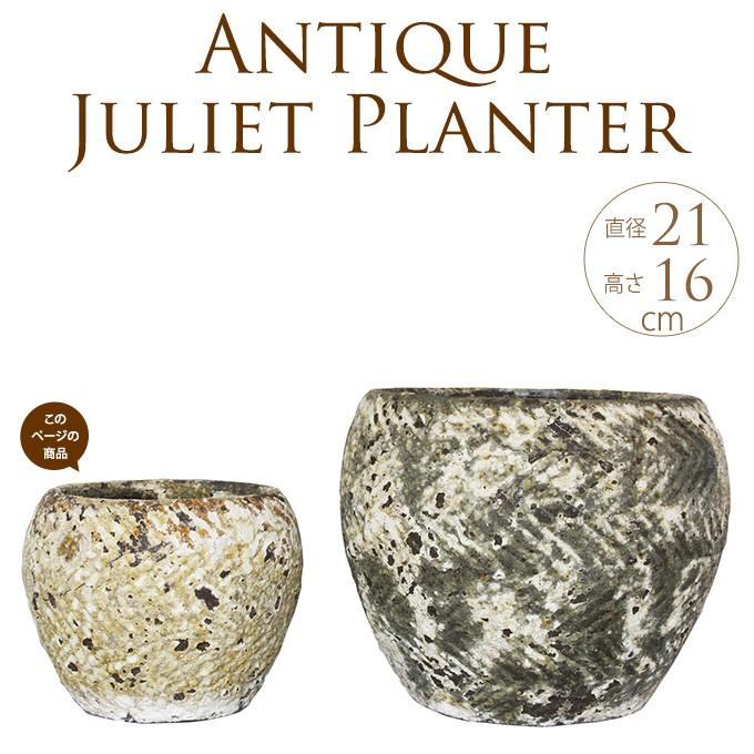 水鉢 大型 ひまわり白 10号 睡蓮鉢 火鉢 水連鉢 和モダン ビオトープ