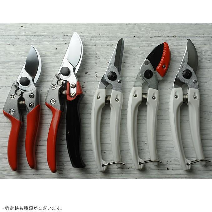 剪定鋏 ハサミ プロ仕様 盆栽 道具 園芸 職人 業務用 左右でいける剪定ばさみ アルス ミニエ ス Pg ガーデン用品屋さん 通販 Yahoo ショッピング