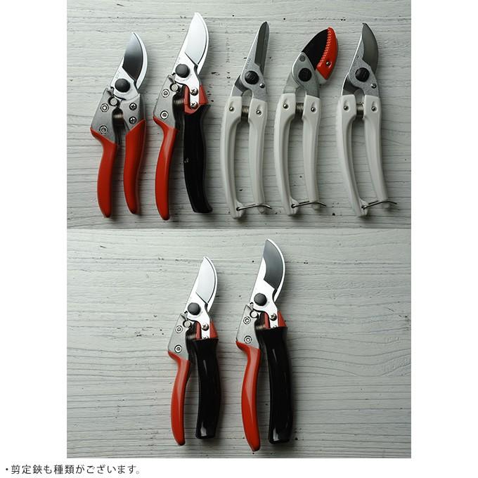 剪定鋏 ハサミ プロ仕様 盆栽 道具 園芸 職人 業務用 プロが選ぶ剪定ばさみ アルス ブイエスナインロ タリ Pg ガーデン用品屋さん 通販 Yahoo ショッピング