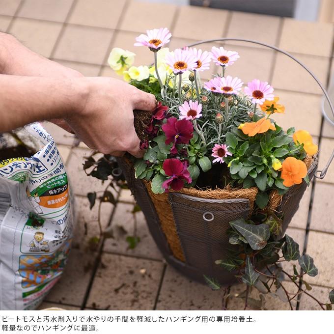 培養土 花ごころ サボテン多肉植物の土