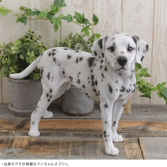 本物そっくり 犬のオブジェ ダルメシアン わんちゃん 置物 オーナメント リアル ドッグ こだわり 毛並み Dog Pg ガーデン用品屋さん 通販 Yahoo ショッピング