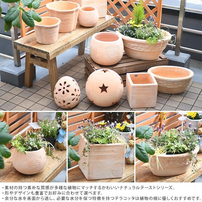 植木鉢 楕円 プランター アジアン 自然 天然 テラコッタ 素焼き 鉢 ナチュラル オーバル ローズ M Lセット Pg ガーデン用品屋さん 通販 Yahoo ショッピング