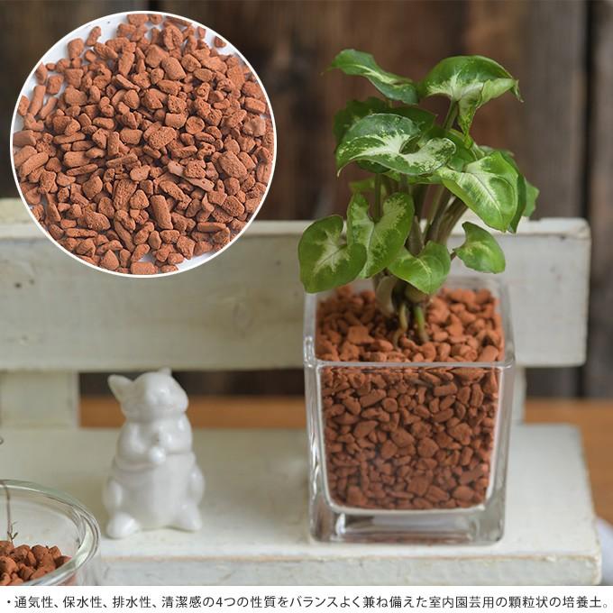 セラミス クリアボックス 170ml Pg ガーデン用品屋さん 通販 Yahoo ショッピング