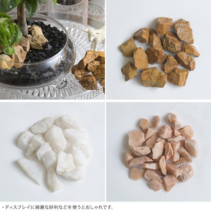 水耕栽培 ブラック スミ 殺菌効果 根腐れ防止 室内 インテリア 黒 ハイドロカルチャー 木炭 0 5l Pg ガーデン用品屋さん 通販 Yahoo ショッピング