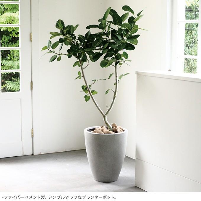 鉢 大きい プランター 大型 植木鉢 シンプル 花器 大きな 大人びた質感 コンクリート鉢 アッシュミドル 直径36cm Pg 167 ガーデン用品屋さん 通販 Yahoo ショッピング