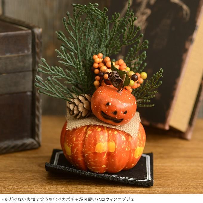 飾り インテリア オブジェ 置物 かぼちゃ ハロウィン雑貨 ボタニカルパンプキンアレンジ Pg ガーデン用品屋さん 通販 Yahoo ショッピング