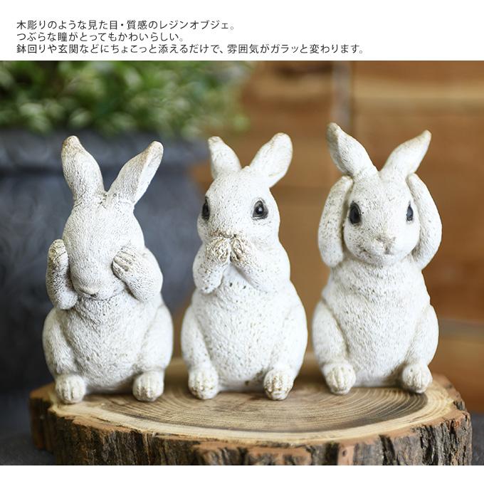 Amazon.co.jp: デコパージュ 壁掛けリメイク鉢 6号* ガーデン