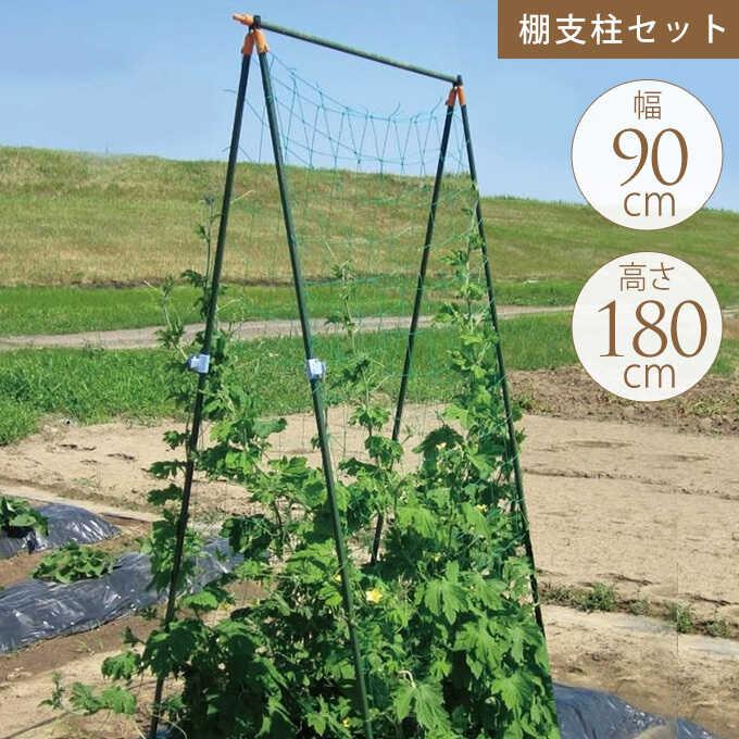 ガーデニング 家庭 菜園 庭 簡単 設置 組立 園芸 野菜のアスレチック つるもの 棚支柱 セット 高さ180cm 幅90cm Pg ガーデン用品屋さん 通販 Yahoo ショッピング