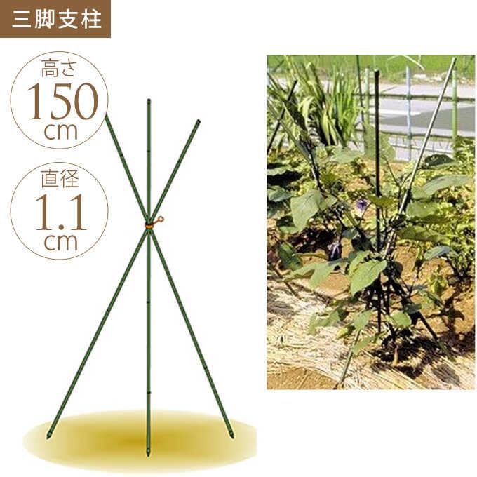 家庭菜園 三脚 支柱 ナス ピーマン 簡単 設置 手軽に始める お家野菜 三脚支柱 直径