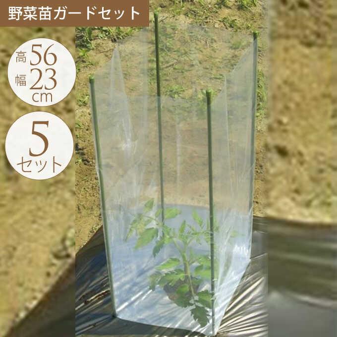 家庭菜園 苗 守る 風よけ 対策 手軽に始める お家野菜 野菜苗ガード セット 5セット入り Pg ガーデン用品屋さん 通販 Yahoo ショッピング