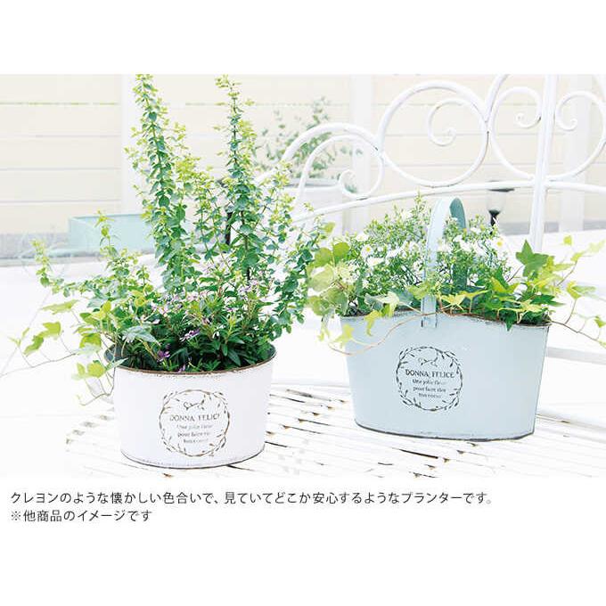 プランター ポット おしゃれ 底穴あり シンプル 鉢 クレヨンカラー ブリキポット さわやか アンティーク オーバル 小 ホワイト Pg ガーデン用品屋さん 通販 Yahoo ショッピング