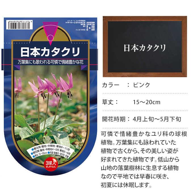 球根 秋植え 栽培 春に咲く 花 花壇 趣味 園芸 日本カタクリ 3球セット Pg ガーデン用品屋さん 通販 Yahoo ショッピング
