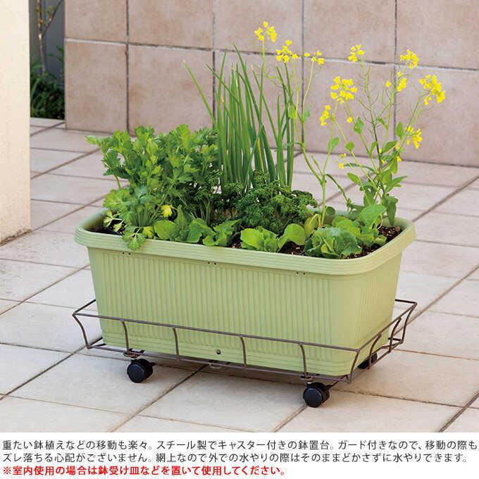鉢台 移動 キャリー付き プランター台 車輪付き 鉢置き プランターキャリー 長方形 ワイド ガード付き 幅61 奥行32cm Pg ガーデン用品屋さん 通販 Yahoo ショッピング