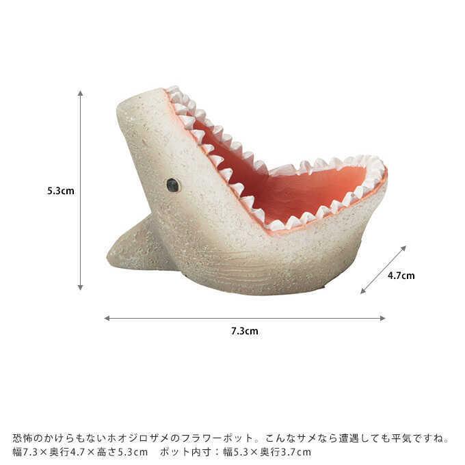 おしゃれ 鉢 底穴あり 小さい かわいい プランター ポット サメさん 大きなお口でパックリ Pg ガーデン用品屋さん 通販 Yahoo ショッピング