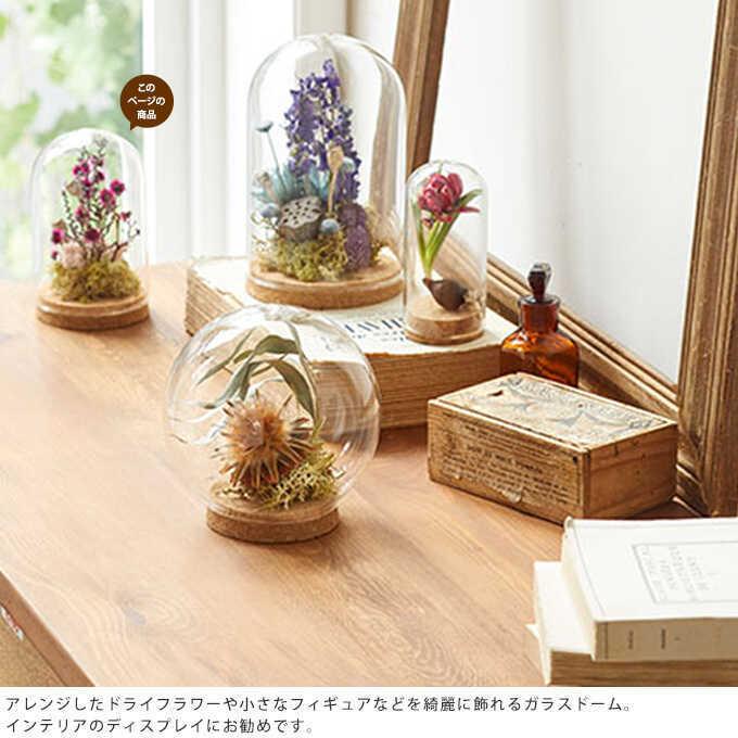 ガラスドーム 花台 ショーケース ドライフラワー インテリア花瓶