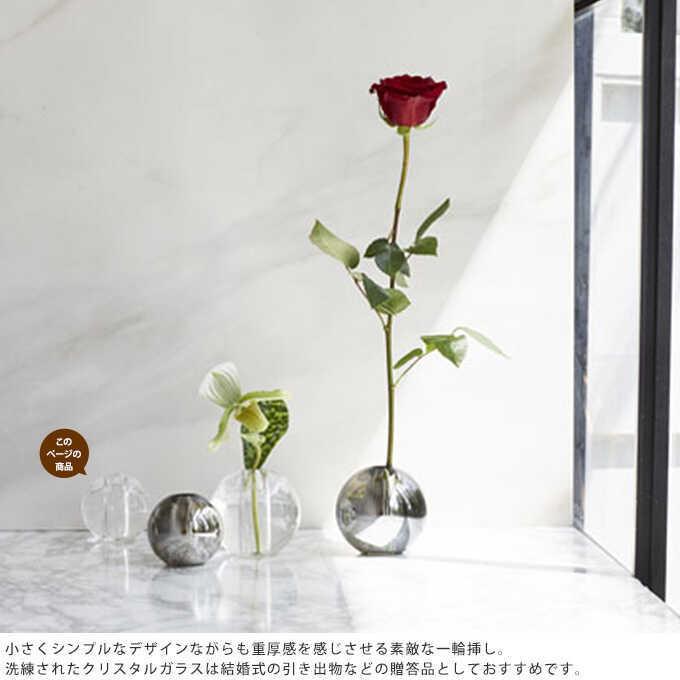 花瓶 一輪挿し ガラス 球 ノーヴァ S 直径7 5cm 球体 丸 おしゃれ 玄関 ガラス花瓶 一輪 挿し Pg 271 ガーデン用品屋さん 通販 Yahoo ショッピング