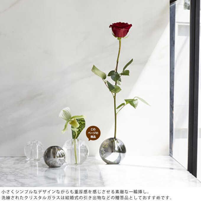 花瓶 一輪挿し ガラス 球 ノーヴァ L 直径10cm 球体 丸 おしゃれ 玄関 ガラス花瓶 一輪 挿し Pg ガーデン用品屋さん 通販 Yahoo ショッピング