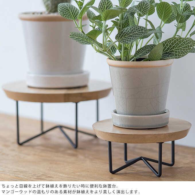 ちょっと背伸び 木製 花台 サークルコンポート 直径20cm おしゃれ