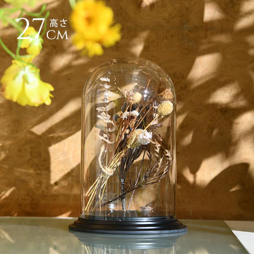 Clay（クレイ） 割れにくい 透明 飾り ドーム ディスプレイ