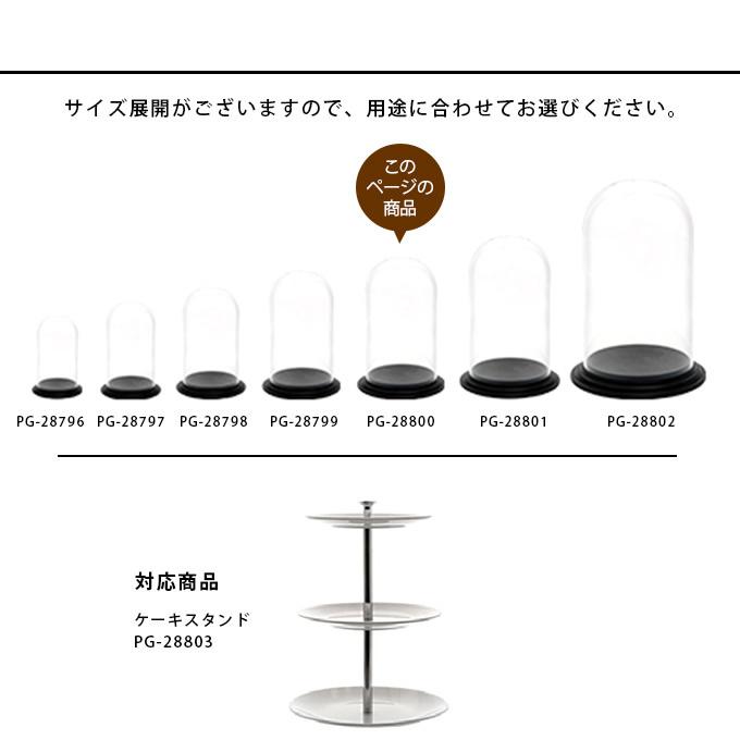 たんぽぽ　スターフラワー　ラベンダー スターチス　ディスプレードーム2個組 Clay（クレイ） 割れにくい 透明 飾り ドーム ディスプレイ