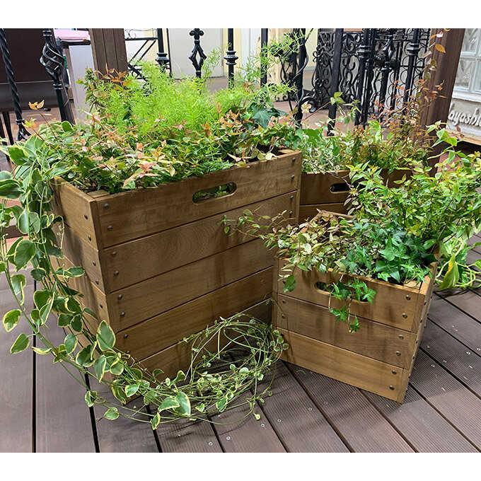ウッド ボックス プランター 鉢 木目 収納ボックス 3点セット 木製 木