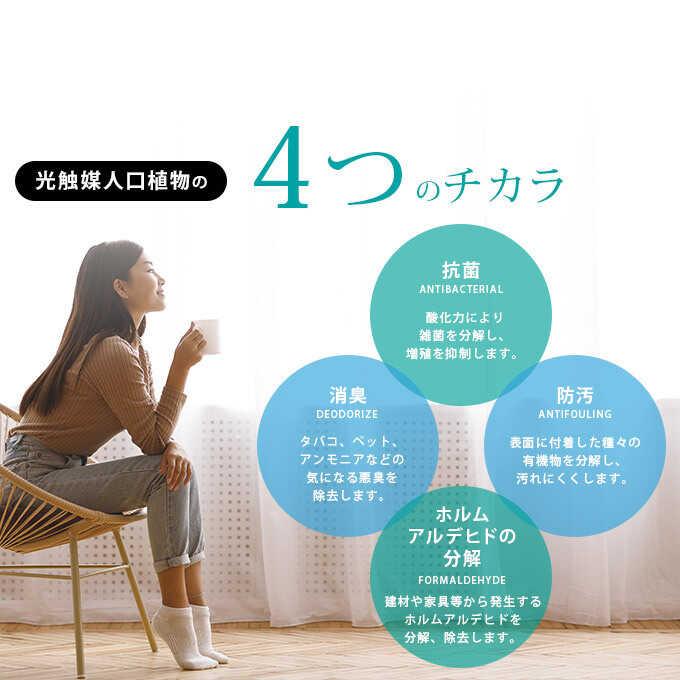 光触媒　人工観葉植物　フェイクグリーン　ウッドボックスウンベラータ1.8m フェイクグリーン 鉢植え 大型 ウッドボックス ウンベラータ 1.8m 人工