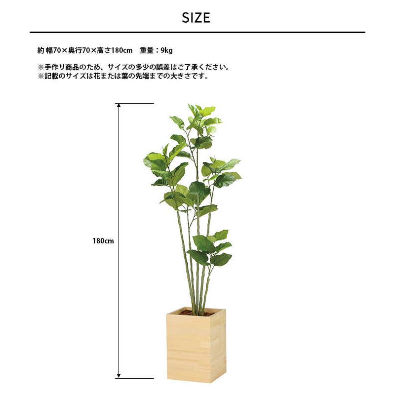 フェイクグリーン 鉢植え 大型 ウッドボックス ウンベラータ 1.8m 人工