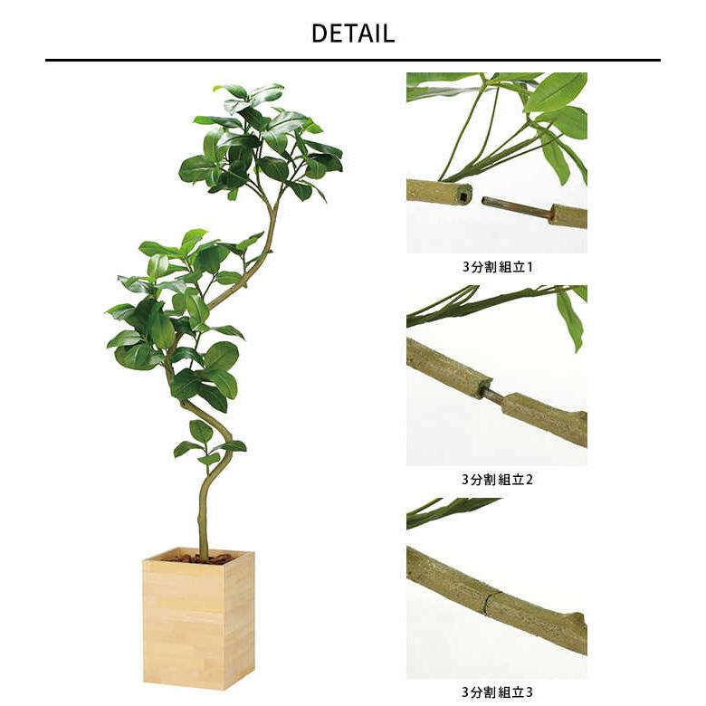 フェイクグリーン 鉢植え 大型 ウッドボックス アルテシマ 2.1m 3分割組立 人工 観葉植物 光触媒 インテリア グリーン おしゃれ 飾り ptuC｜gardenyouhin｜03