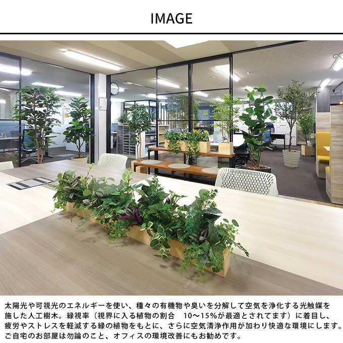 フェイクグリーン 鉢植え 大型 ウッドボックス オリーブ 1.6m