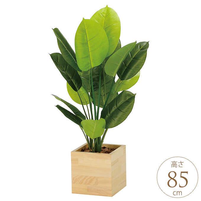 フェイクグリーン 鉢植え 大型 ウッドボックス スキタンブサス 85cm