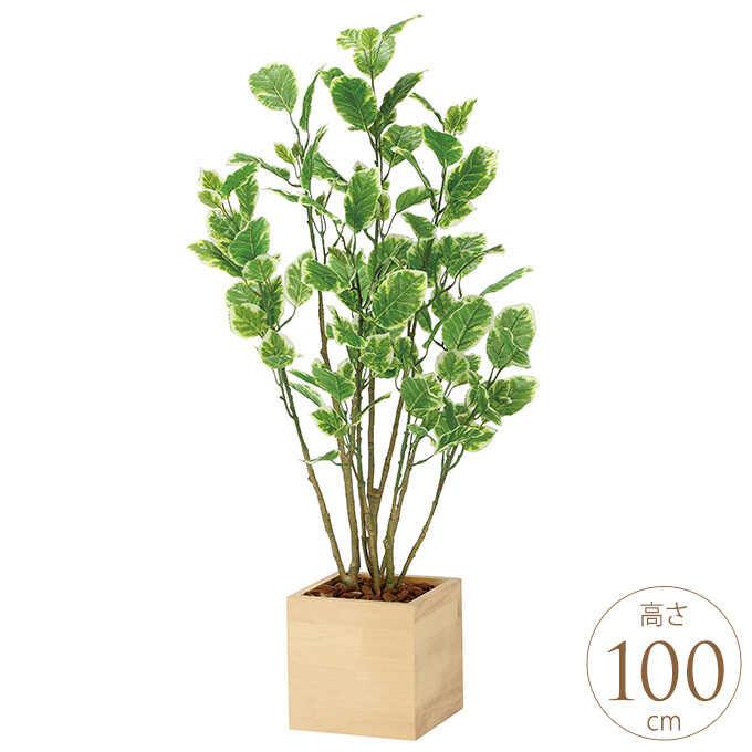 ウッドボックス 大型 鉢植え フェイクグリーン 光触媒　人工観葉植物　ウォールグリーン　ウッドボックスポリシャス1.0m ポリシャス 人工 1m フラワー・ガーデニング