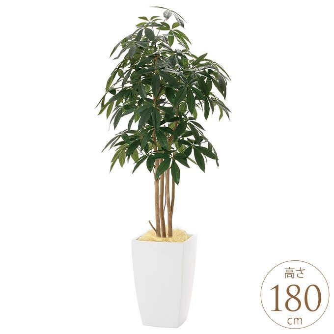 光触媒　人工観葉植物　フェイクグリーン　アーバンパキラ1.8m フェイクグリーン 鉢植え 大きい 観葉植物 鉢 アーバンスタイル パキラ