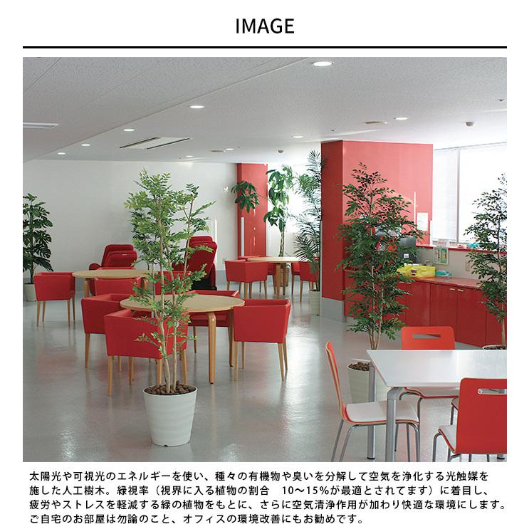 光触媒　人工観葉植物　フェイクグリーン　アーバンブランチウンベラータ1.8m 人工観葉植物 フェイクグリーン 【光触媒】 アーバン