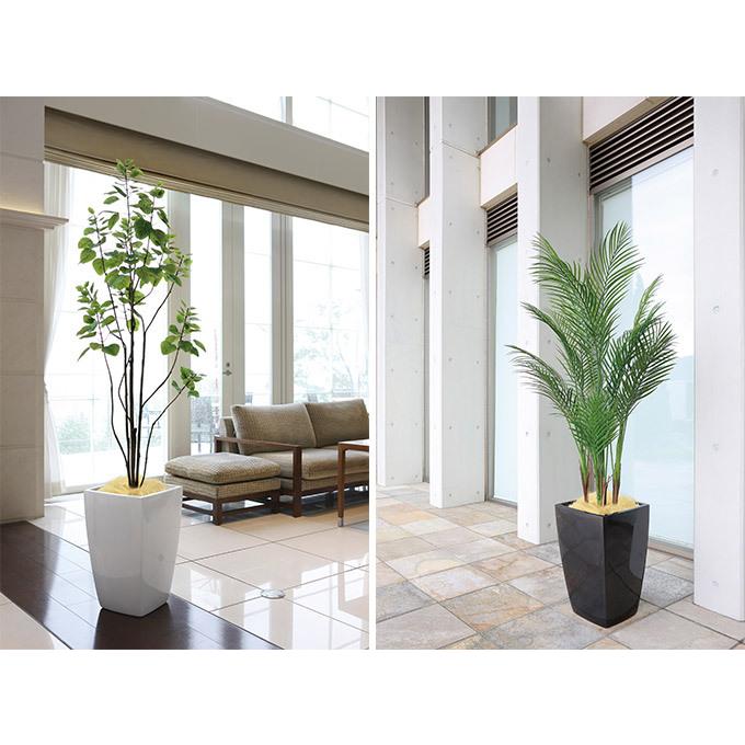 光触媒　人工観葉植物　フェイクグリーン　アーバンブランチウンベラータ1.8m 光触媒 光の楽園 フレッシュアーバンウンベラータ1.8m