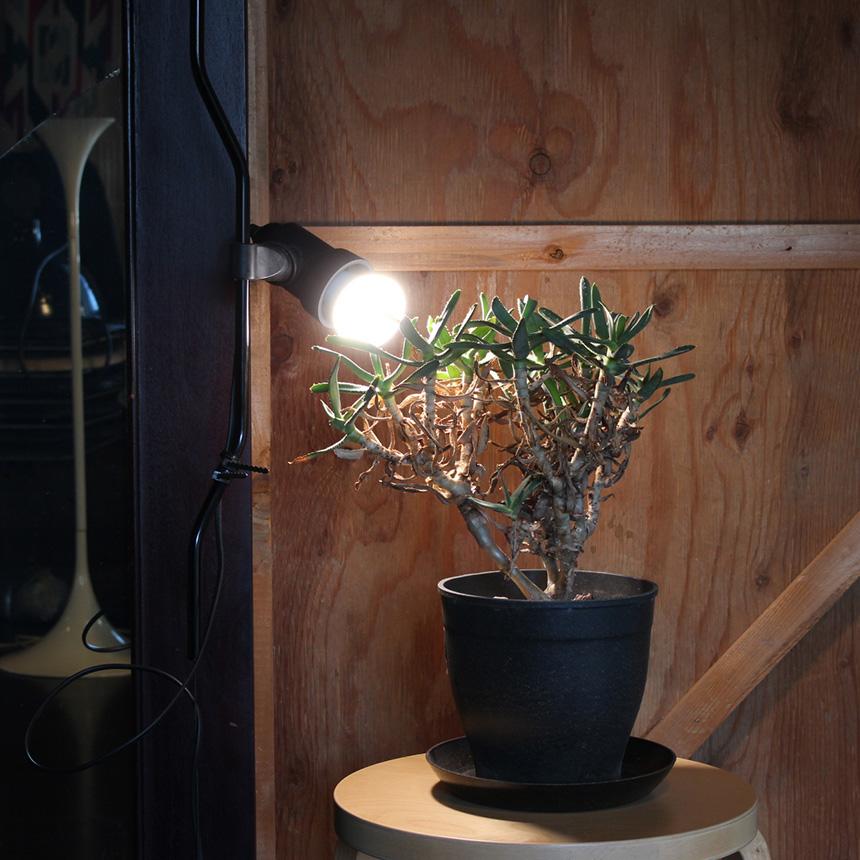 植物ライト ダクトレール 電源 室内 インテリア 多肉 植物 園芸 PLANTS