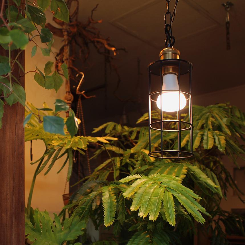 植物ライト ダクトレール 電源 室内 インテリア 多肉 植物 園芸 PLANTS
